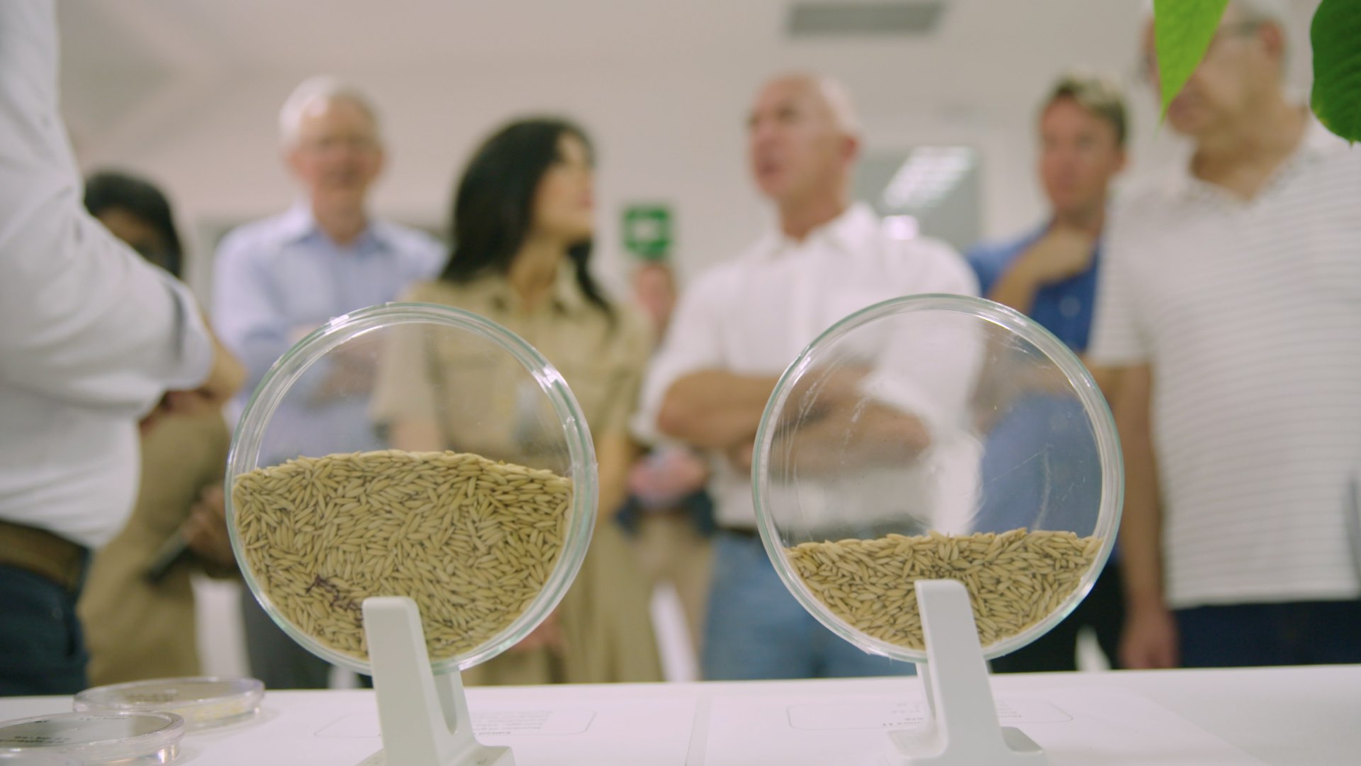 Two Petri dishes containing seeds sit on a table surrounded by Jeff Bezos, Lauren Sánchez, and a few other individuals.